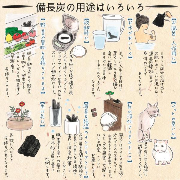 備長炭本舗 浄水 重さが自慢 プレミアム白炭備長炭 ３本セット 塩素除去 おいしい水 炊飯 消臭 除湿 冷蔵庫 浄化 玄関 風水 インテリアの通販はau Pay マーケット 備長炭本舗