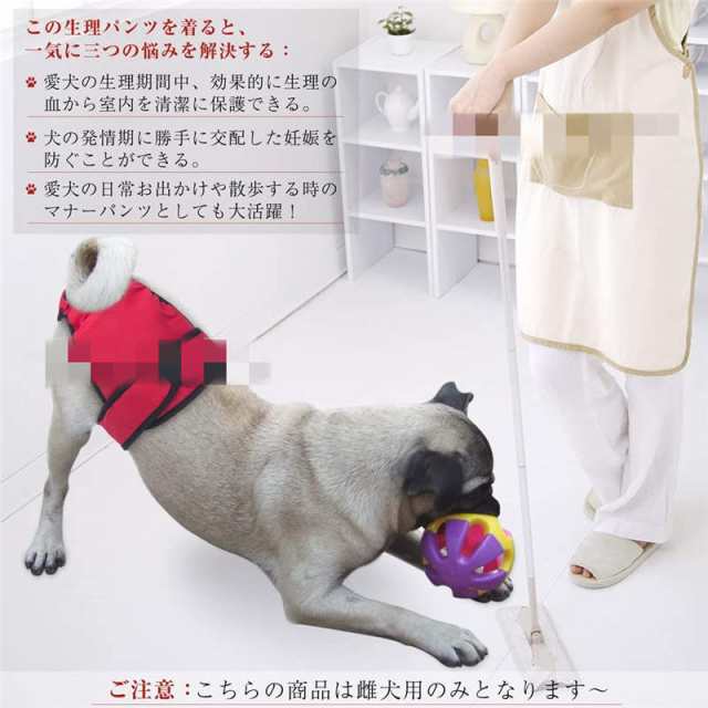 犬 おむつカバー 犬用 サニタリーパンツ 生理用品 雌犬 中大型犬 老犬用 犬の発情期 介護用 マナーパンツ 無地 3枚セットの通販はau Pay マーケット ｈｕｋｉｈｏｕｓｅ