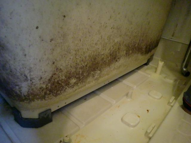 無料サンプル付 送料無料 業務用カビ取り剤 カビ取りスプレー 浴室 風呂 壁紙 壁クロス カビ取り 強力 ぬめりとり バス の通販はau Pay マーケット お掃除 コーティングの専門店ｋｉｓ