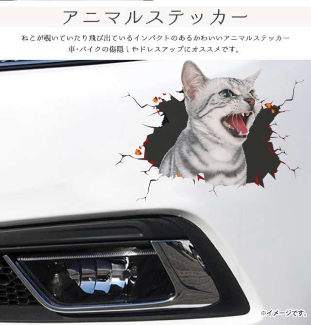 カーステッカー 猫 シール かわいい 動物 アニマル ドレスアップ 車