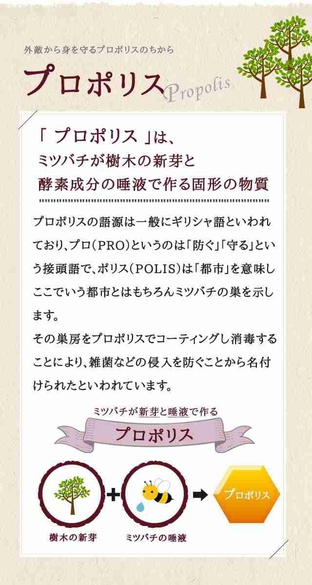 在庫僅少】 森川 プロポリススプレー 20mL メール便送料無料