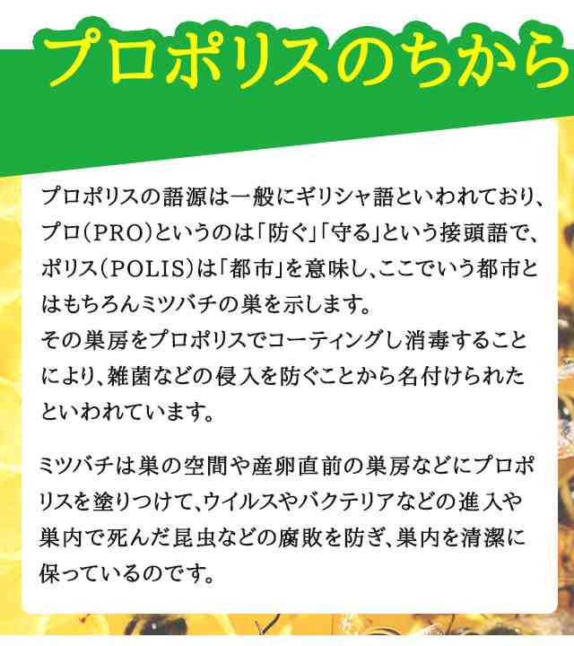 4本セット プロポリススプレー ml 森川健康堂 プロポリス スプレー ぷろぽりす 喉 のど ケア 痛いの通販はau Pay マーケット Rvoice