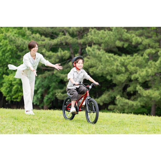 店頭受取限定 キッズ 子供 幼児用 自転車 Dバイク Dバイク マスター フィット 16 16インチ D-Bike D-BIKE Master Fit 16 [D-BIKE Master Fit 16]_7