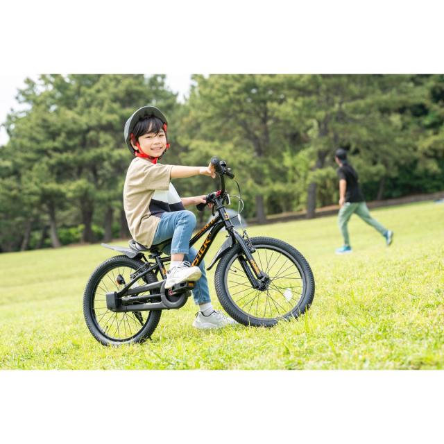 店頭受取限定 キッズ 子供 幼児用 自転車 Dバイク Dバイク マスター フィット 16 16インチ D-Bike D-BIKE Master Fit 16 [D-BIKE Master Fit 16]_8
