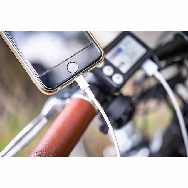 ルイガノ LOUIS GARNEAU ASCENT C アセント Eバイク スポーツ電動アシスト自転車 26インチ [ASCENT C] abmoghatari.ir
