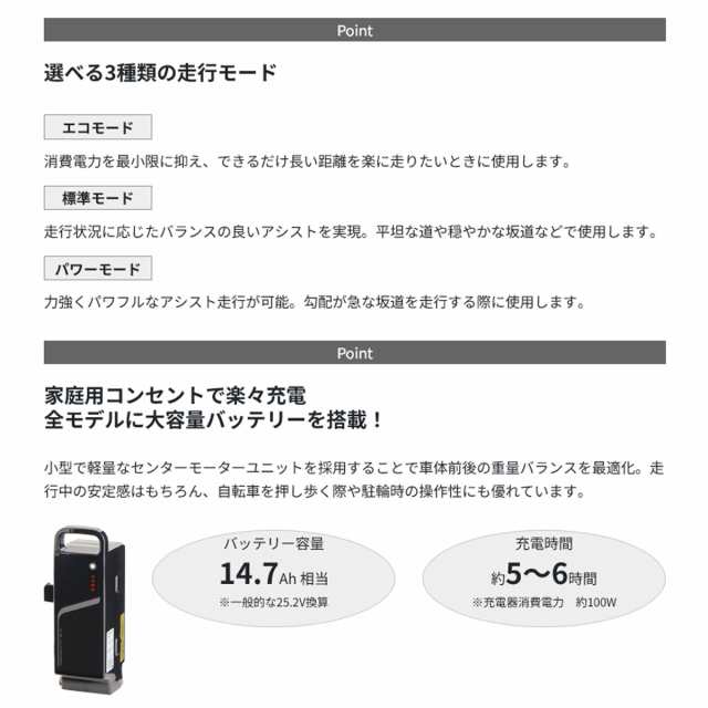 ルイガノ LOUIS GARNEAU ASCENT C アセント Eバイク スポーツ電動アシスト自転車 26インチ [ASCENT C] abmoghatari.ir