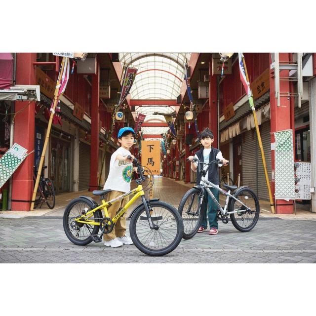 キッズ自転車 d-bike Xstreet 20インチ【引取限定】 ides 「アイデス」D-Bike BM XSTREET（Dバイク ビーエムエク