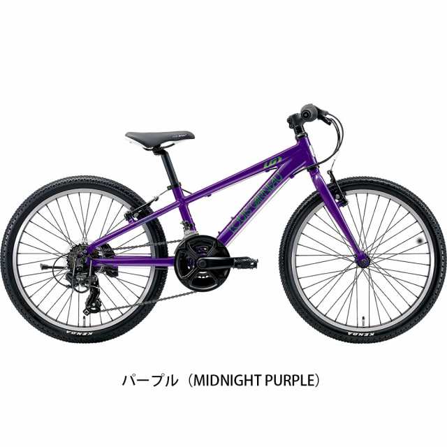 P10％ 5/13 ルイガノ スポーツ 子供 自転車 J22 LOUIS GARNEAU 22 