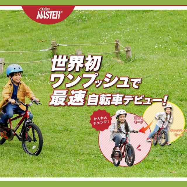 D-bike Master　ディーバイクマスター　18インチ - 2