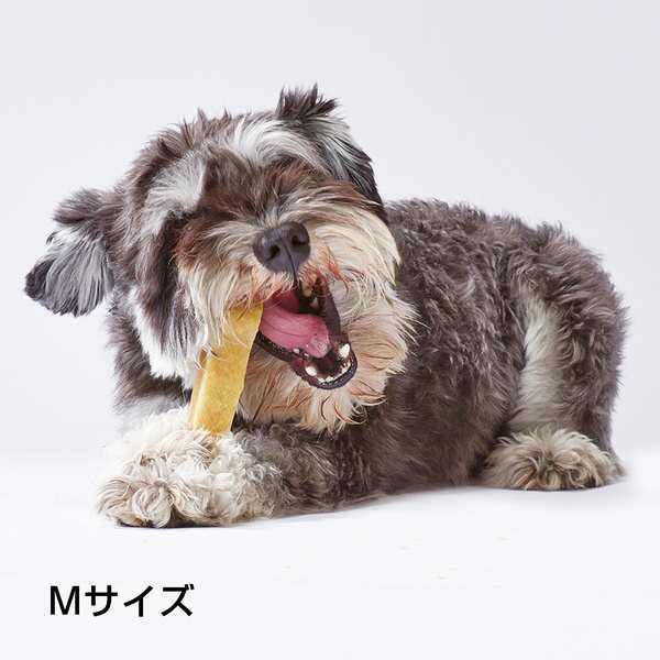 アドメイト ヒマラヤマウンテンハードチーズ M 健康食 犬用おやつ チーズ 1歳 小型犬 中型犬 Add Mateの通販はau Pay マーケット ペティオ公式オンラインショップ Wow店