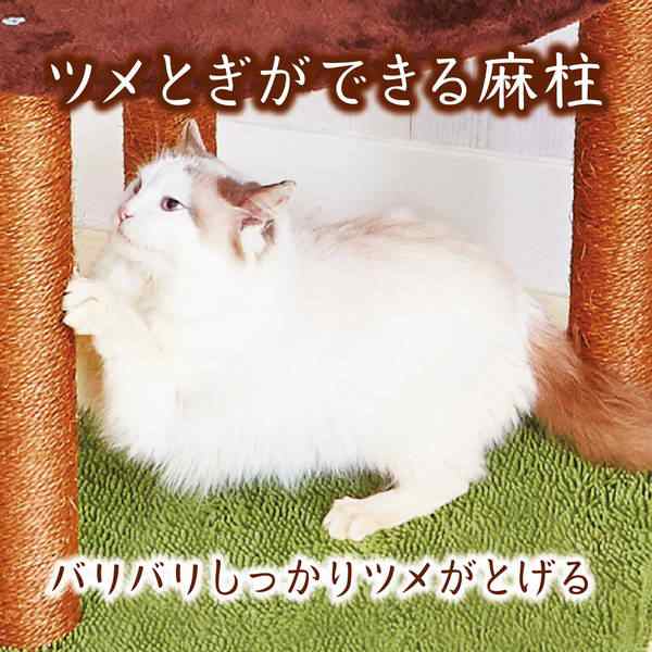 アドメイト (ADD. MATE) 猫用タワー ねこまどグリーンテラスタワー