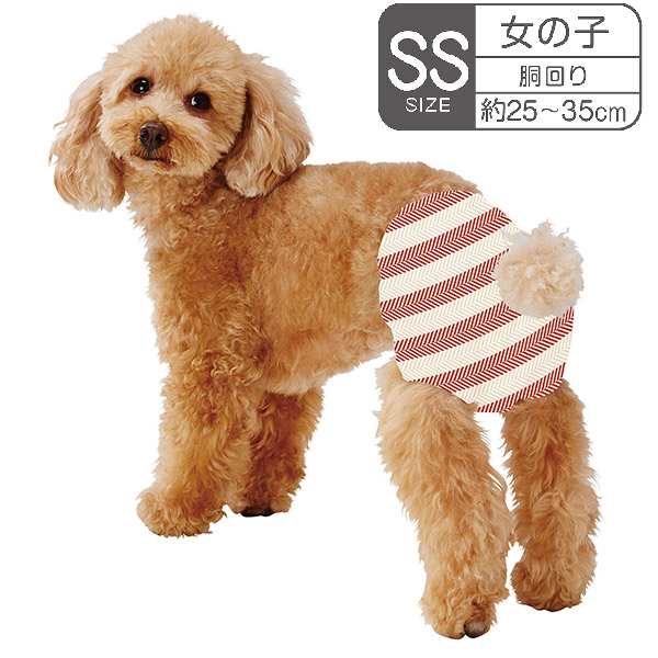 ペティオ (Petio) 犬用オムツ フレス たっぷり吸収するエチケットパンツ 男の子用 ＳＳＳ２０枚