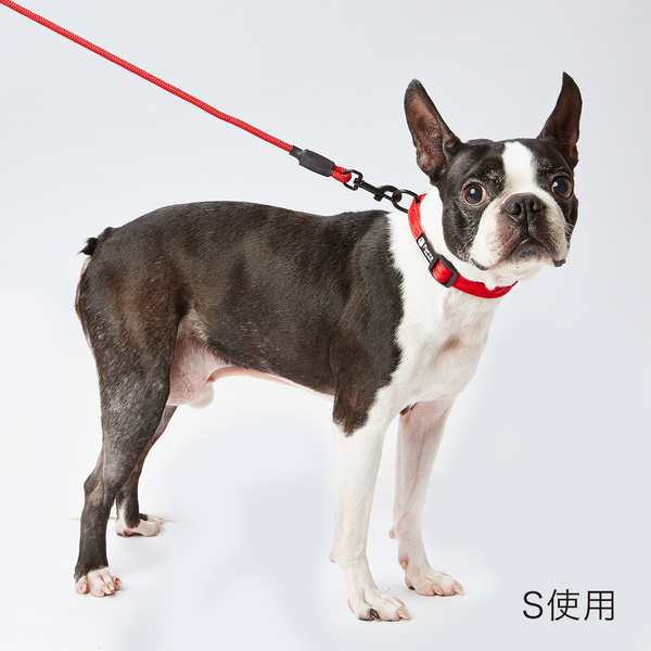 ペティオ Porta ポルタ リード 引き紐 L レッド 大型犬用 Petioの通販