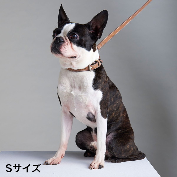 ペティオ 犬用首輪 フラッシュカラー S レザーブラウン 小型犬用 合皮 皮革 Petioの通販はau Pay マーケット ペティオ公式オンラインショップ Wow店