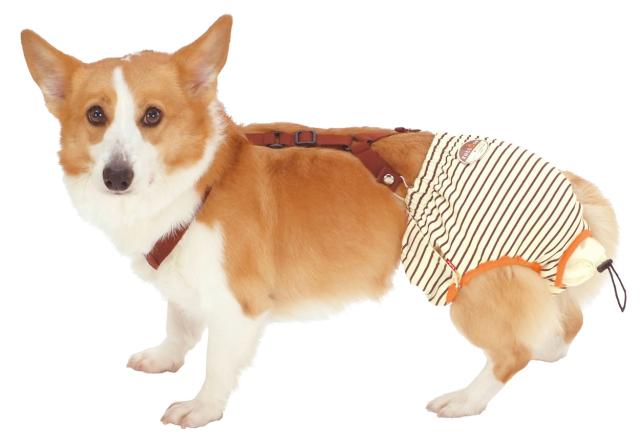 1個オトクな12個セット 送料無料|ペティオ zuttone ずっとね 老犬介護用 おむつパッド L シーツ おむつパンツ 老犬介護用おむつ 犬 介護期 中型犬 〜15kg 体力が低下したときなどのおもらし対策に Petio_1