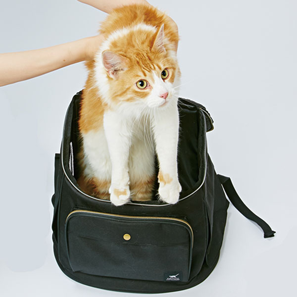 ペティオ necoco リュックキャリー ブラック 黒 猫用 キャリーバッグ 生地 布 猫 ネコ 短毛 長毛 〜8kg おでかけにぴったり リュックタイプで疲れにくく安定した空間で猫ちゃん快適 Petio_4
