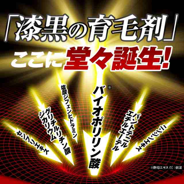 ポリピュアEX 2本セット 育毛剤 男性 育毛 発毛 促進 薄毛 抜け毛予防