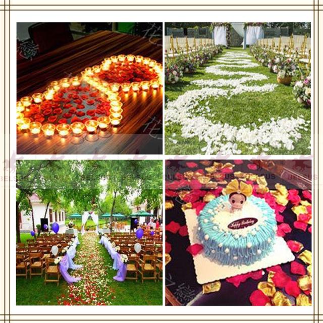 フラワーシャワー 造花 フェザーインテリア 花びら ウェディング 祝い パーティー飾り付け 500枚入り 5色 送料無料の通販はau Pay マーケット Belsus