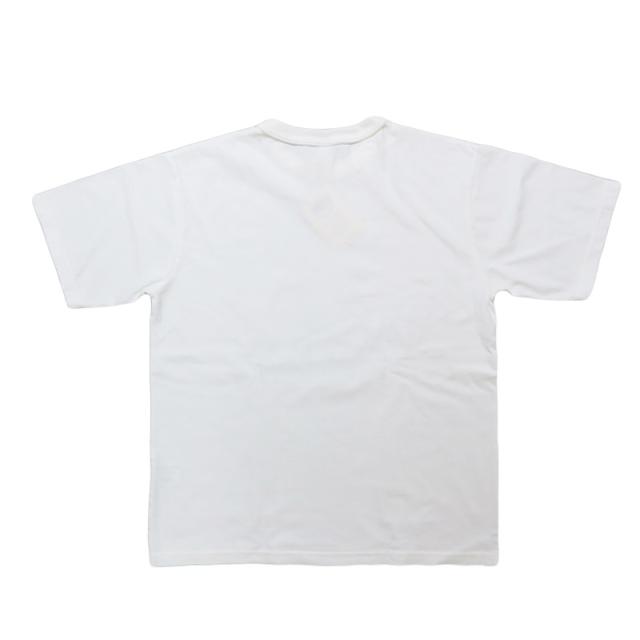 バーンズ BARNS タフネック 18/-OE 半袖 プリント Tシャツ ”ALASKA” BR-25282