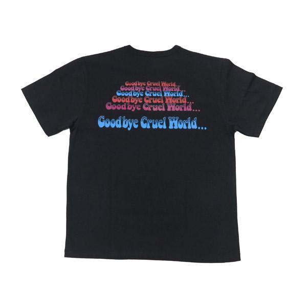 WEIRDO ウィアード 胸ポケット 半袖 プリント Tシャツ 「Goodbye Cruel