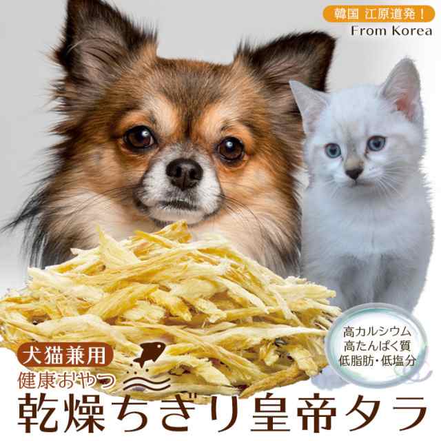 【愛犬・愛猫用おやつタラ】 無添加 無着色 皇帝ソフトタラ100G 5つ購入で1つプレゼント 韓国 ペットフード キャットフード｜au PAY  マーケット