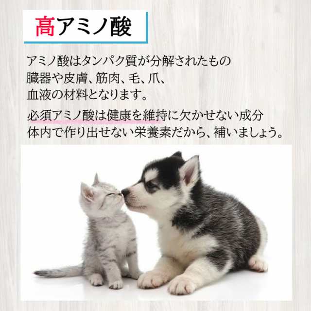 【愛犬・愛猫用おやつタラ】 無添加 無着色 皇帝ソフトタラ100G 5つ購入で1つプレゼント 韓国 ペットフード キャットフード