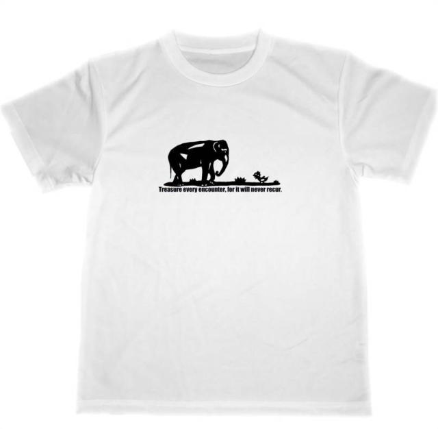 象と髑髏鳥 ドライｔシャツ 切り絵 アニマル グッズ 象 ゾウ エレファントの通販はau Pay マーケット Tuge9999