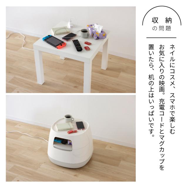 リス ポアペル 木天板なし IV DGY_3