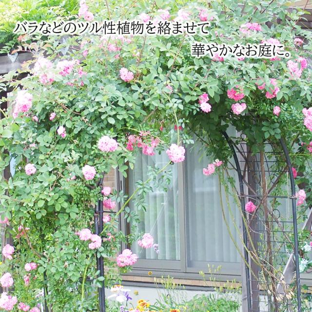 楽天ランキング獲得！ フラワーアーチ アイアン ローズアーチ ガーデンアーチ 日本製 小林金物 No.285 園芸 ガーデニング用品 ガーデン ファニチャー 薔薇アーチ 外 園芸用品 つるバラ アーチ ガーデニング 花立て 花台 庭園 花壇 おしゃれ 手軽 便利 燕三条 シンプル_7