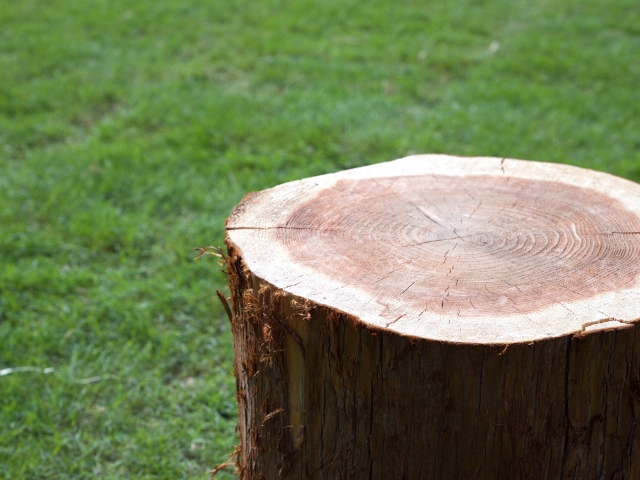 BISON AXE BP18-H1 ハンティングハチェット 手斧 多用斧 斧 薪割り アウトドア 焚火 暖炉