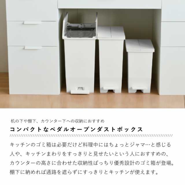 送料無料 リス SOLOW ソロウ ペダルオープンツイン 35L ホワイトまたはブラック RISU 家庭用ゴミ箱 ダストボックスの通販はau PAY  マーケット - ものうりばPlantz