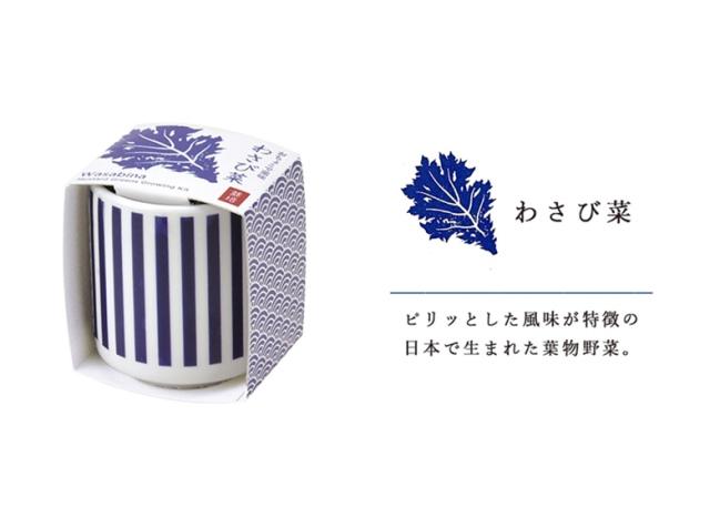 家庭菜園 Gd 0 おちょこで薬味栽培セット 4種類から選べます 聖新陶芸の通販はau Pay マーケット ものうりばplantz