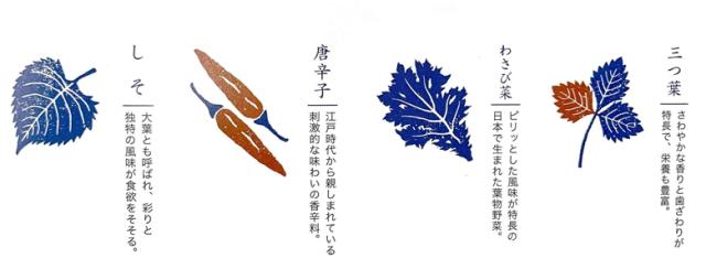家庭菜園 Gd 0 おちょこで薬味栽培セット 4種類から選べます 聖新陶芸の通販はau Pay マーケット ものうりばplantz