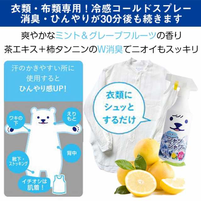 ひんやりシャツシャワー 500ml 本体 冷却スプレー 衣類用 制汗剤 消臭 涼感 わきが 脇汗 デオドラント ときわ商会の通販はau Pay マーケット カノンショッピングストアー