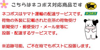 送料無料 ネコポス 森永 BB536 錠剤 45カプセル入り×2袋 (約30日分) 腸