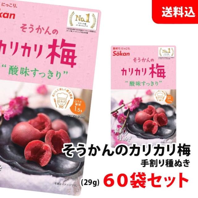 送料無料 種抜き 手割り かりかり梅 60袋セット 〜すっきりとした酸味〜 カリカリ梅 種ぬき おやつ 壮関 毎日飽きない２ヶ月分！ まとめ買い