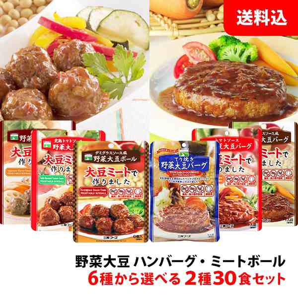 送料無料 野菜大豆バーグ / ミートボール 6種類から選べる2種 30食セット (15食入り×2箱) まとめ買い 三育フーズ 大豆ミート