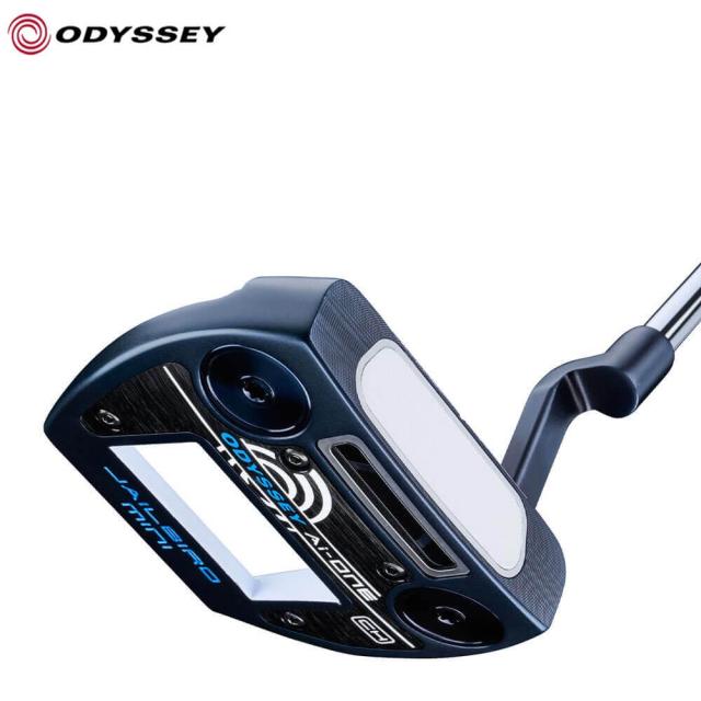 ダイワ ロングキャスター チタン4 36-650 / 遠投柄杓 / daiwa 釣具 ダイワ ロングキャスター チタン4 36-650 / 遠投柄杓 daiwa 釣具