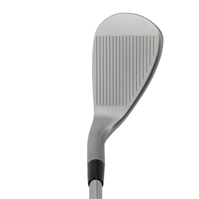 キャスコ　メンズ ドルフィン ウェッジ セミグースネック DW-125G　N.S.PRO 950GH neo スチールシャフト [2025年モデル]