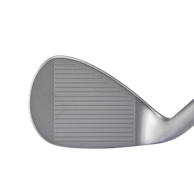 キャスコ　メンズ ドルフィン ウェッジ セミグースネック DW-125G　N.S.PRO 950GH neo スチールシャフト [2025年モデル]