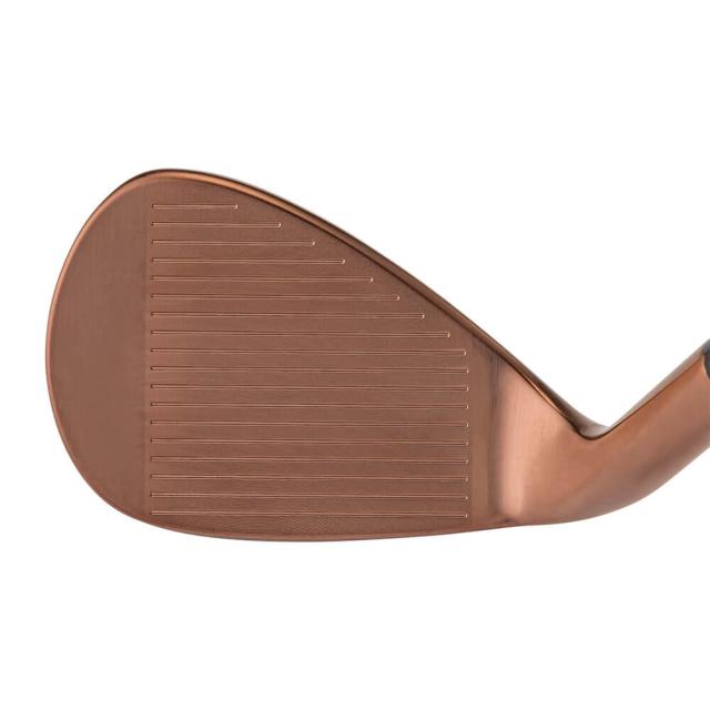 キャスコ レディース ドルフィン ウェッジ セミグースネック DW-125G