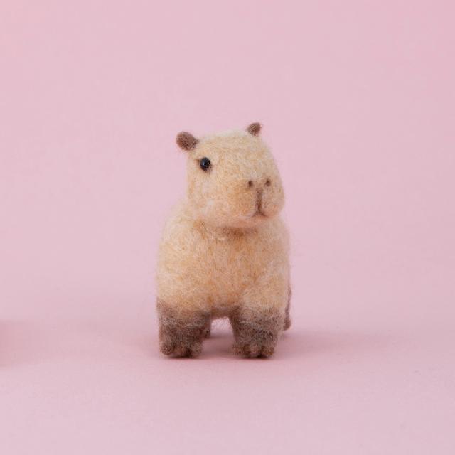 羊毛フェルト キット ニードルフェルトでつくるカピバラ ありくい 須佐沙知子 中級者向け 簡単 手作りキット ハマナカ 手芸の通販はau Pay マーケット Fanmary ファンメアリー