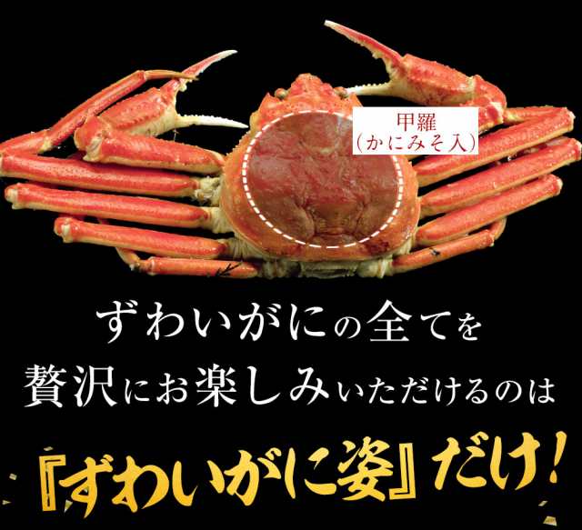 ボイル 特大 ズワイガニ 2尾 訳あり 約1.2kg 送料無料 ずわい かに