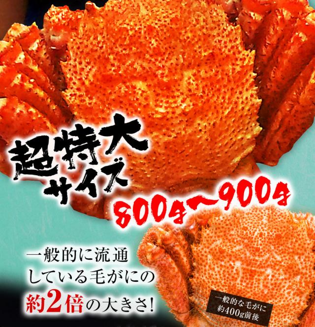 魚奏 ボイル毛蟹 特大 800g〜900g 訳あり かに カニ ガニ 送料無料 かにしゃぶ かに鍋 お取り寄せ_4