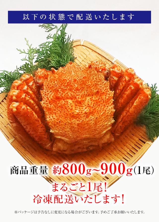 魚奏 ボイル毛蟹 特大 800g〜900g 訳あり かに カニ ガニ 送料無料 かにしゃぶ かに鍋 お取り寄せ_13