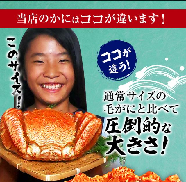 魚奏 ボイル毛蟹 特大 800g〜900g 訳あり かに カニ ガニ 送料無料 かにしゃぶ かに鍋 お取り寄せ_3
