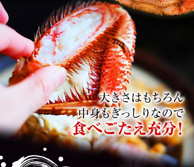 魚奏 ボイル毛蟹 特大 800g〜900g 訳あり かに カニ ガニ 送料無料 かにしゃぶ かに鍋 お取り寄せ_5