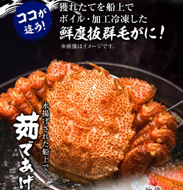 〔身入り抜群のA級品 〕カナダ産ボイルズワイガニ姿・約500g×4尾 冷凍ズワイ蟹 ZHB504b〔代引不可〕 身入り抜群のA級品 〕カナダ産ボイルズワイガニ姿・約500g×