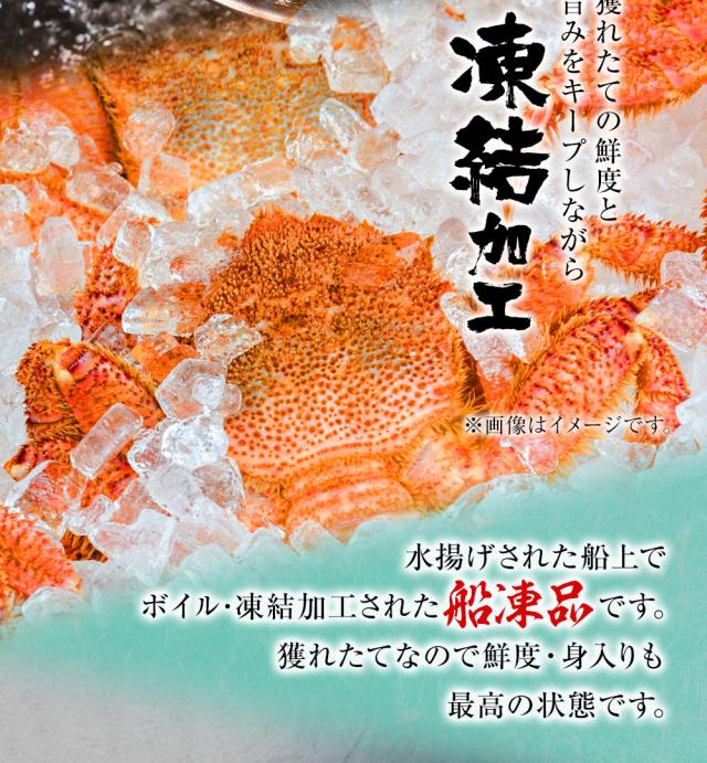 魚奏 ボイル毛蟹 特大 800g〜900g 訳あり かに カニ ガニ 送料無料 かにしゃぶ かに鍋 お取り寄せ_7