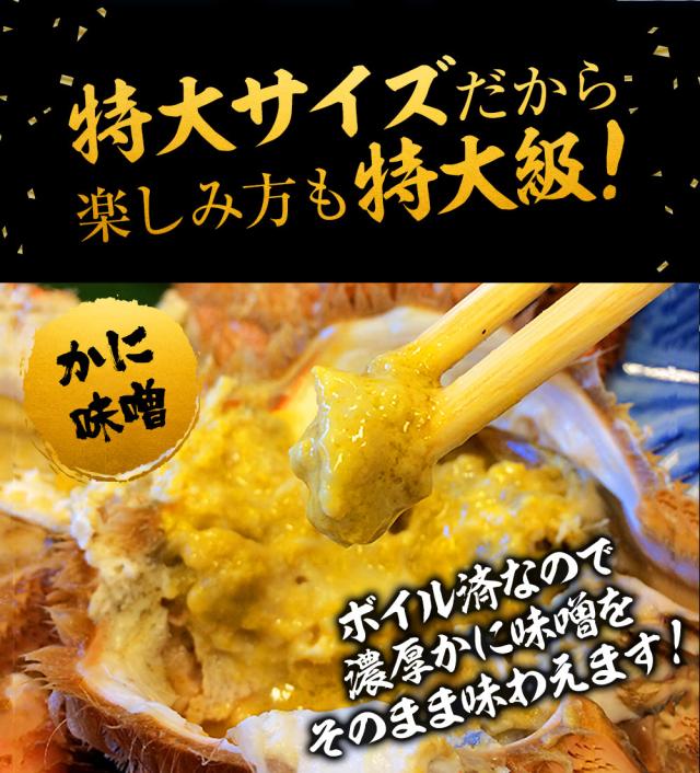 魚奏 ボイル毛蟹 特大 800g〜900g 訳あり かに カニ ガニ 送料無料 かにしゃぶ かに鍋 お取り寄せ_10